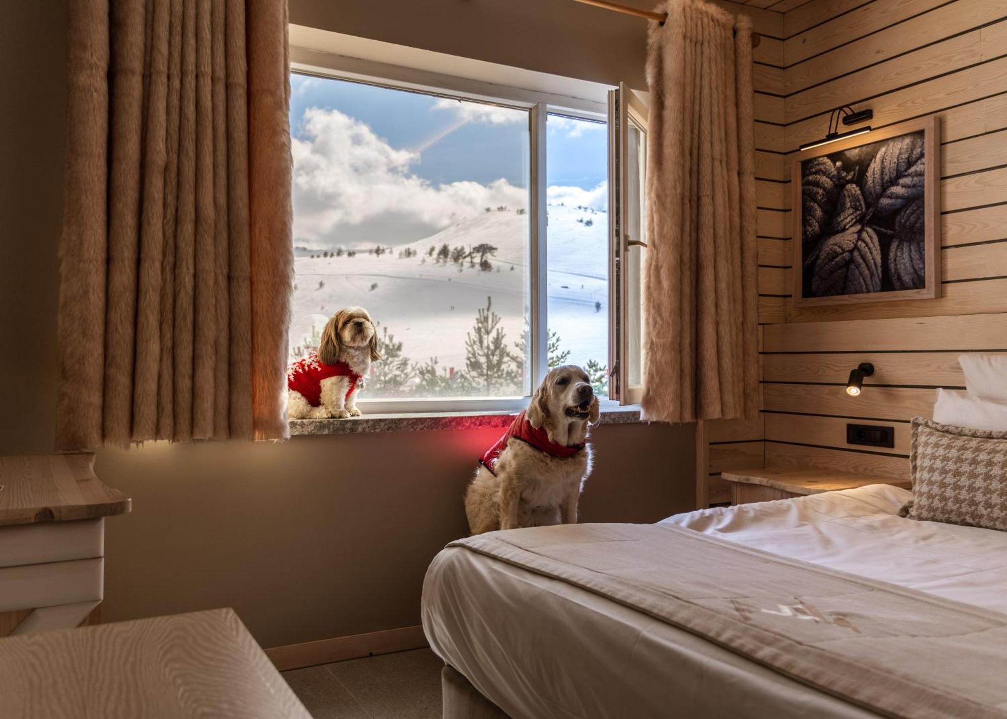 Kartal Hotel Kartalkaya Eksteriør bilde